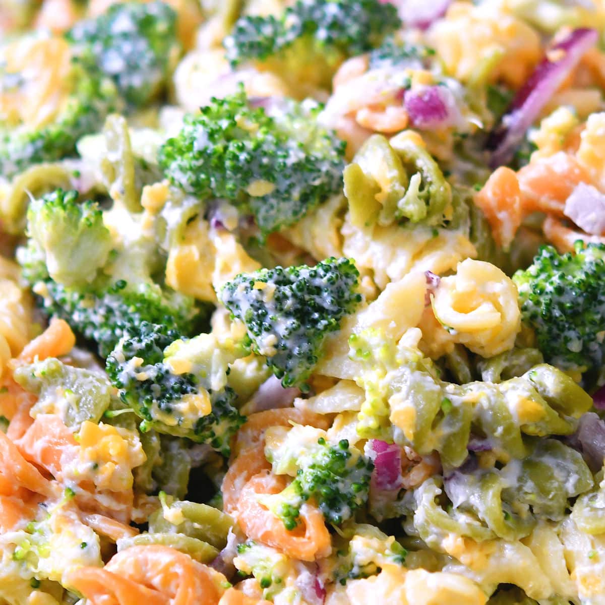 Creamy Broccoli Cheddar Pasta