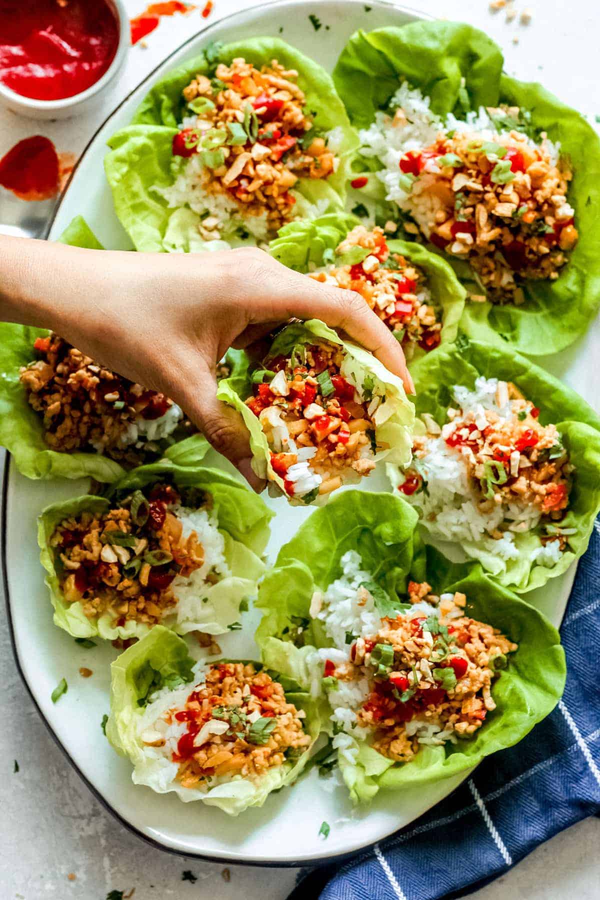 Chicken and Rice Lettuce Wraps