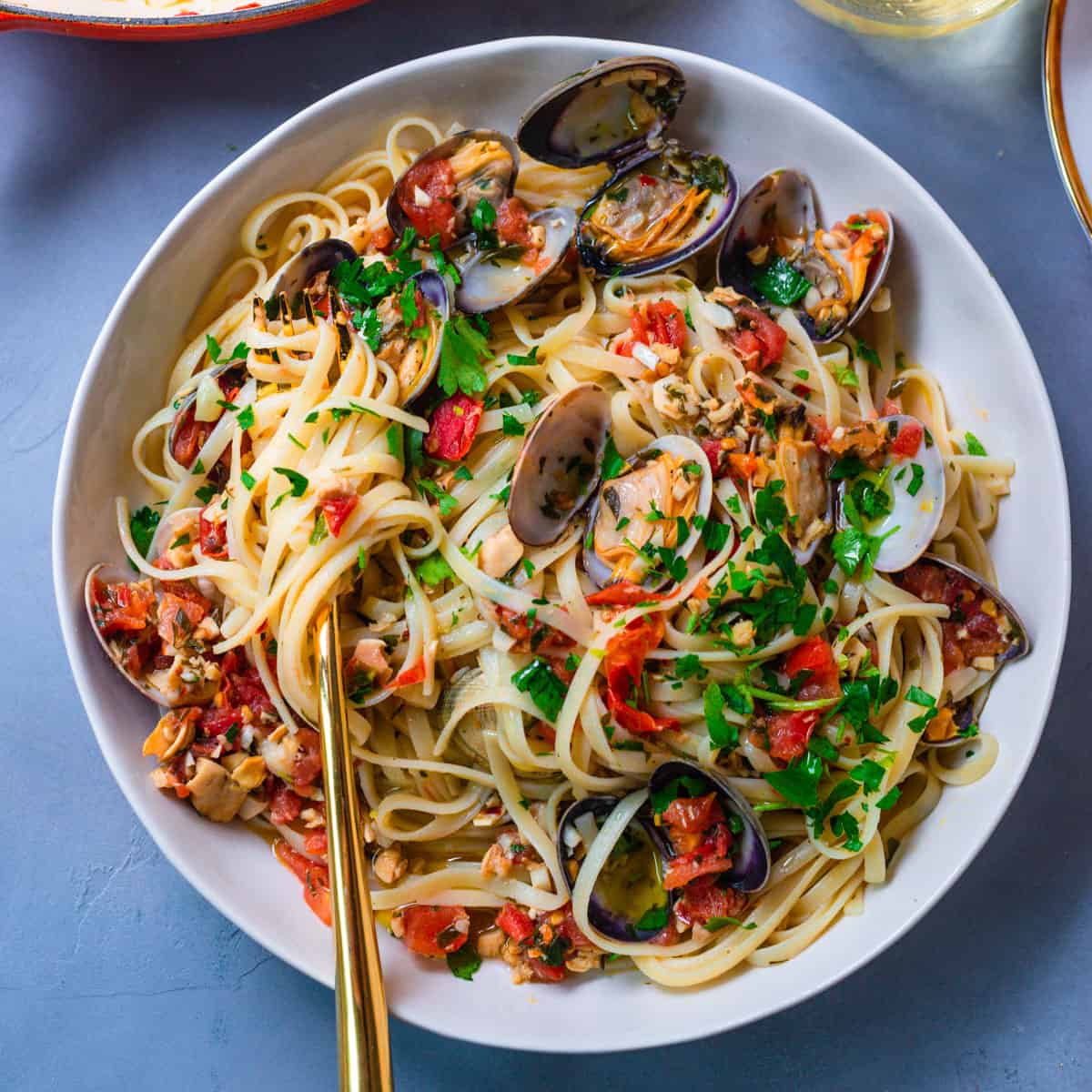 Tomato Clam White Wine Sauce