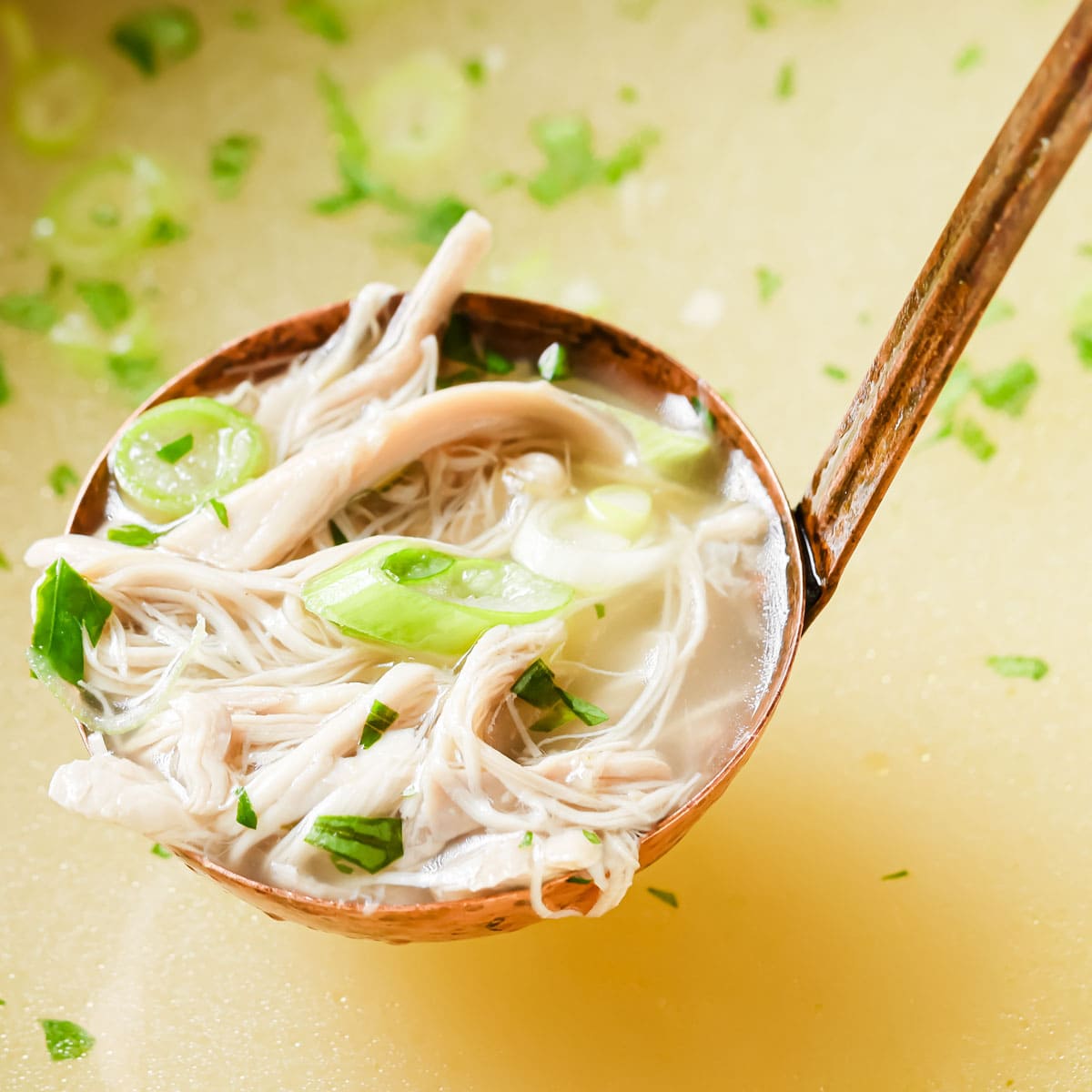 Chicken and Vegetable Clear Broth
