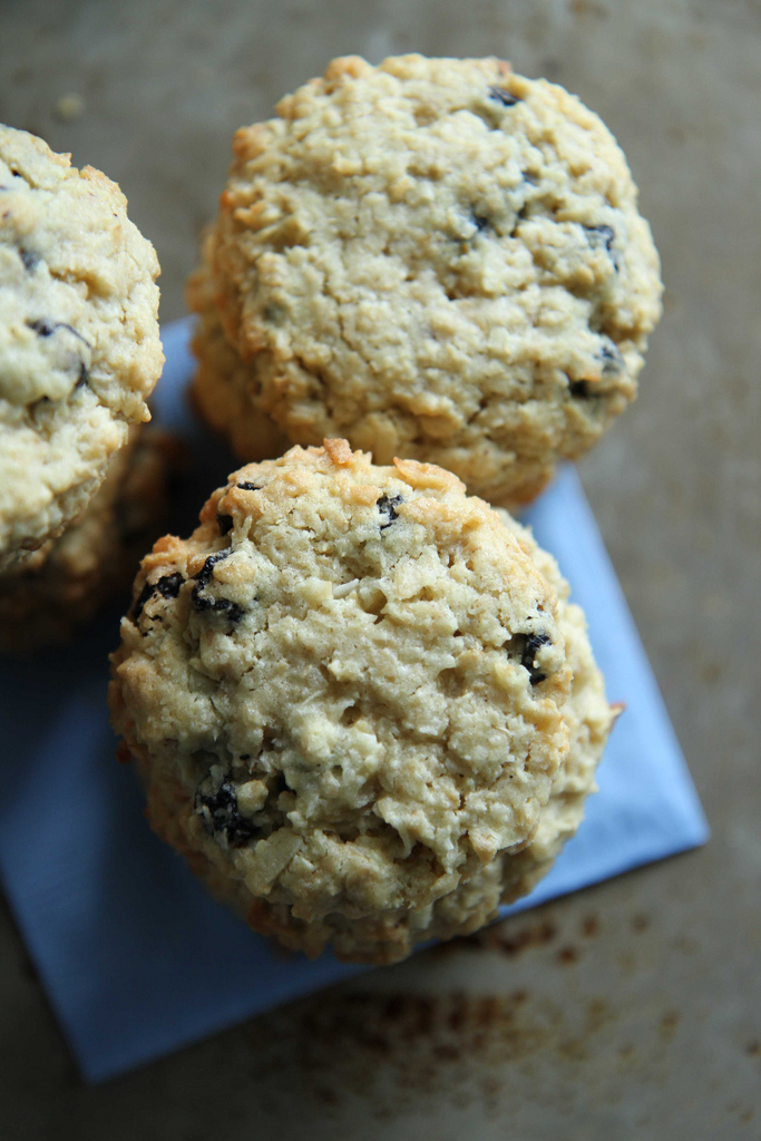 Blueberry Coconut Cookies
