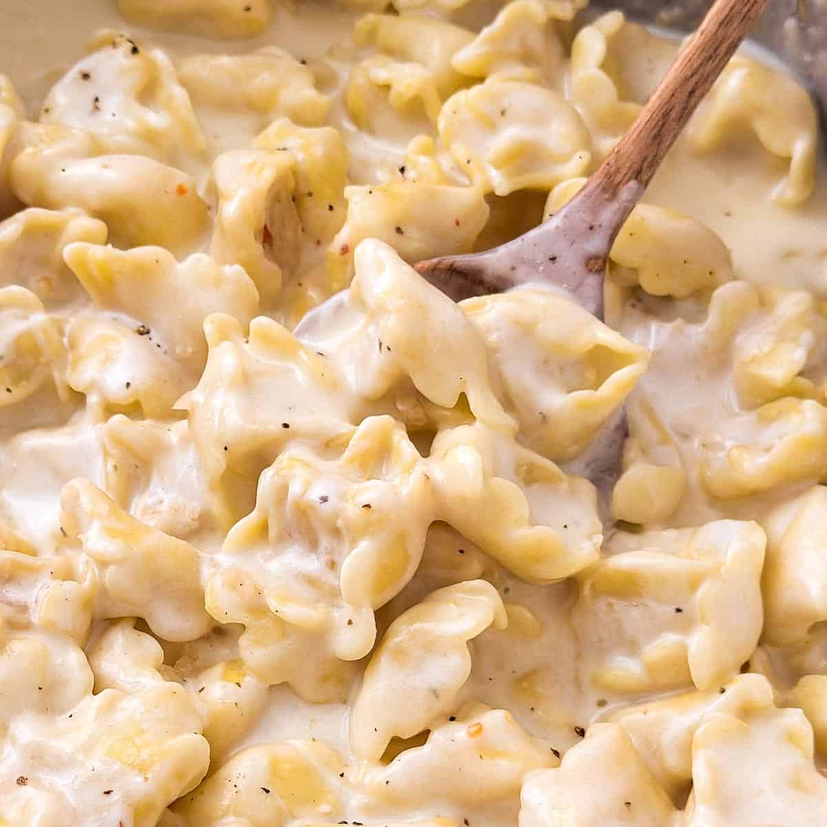 Garlic Parmesan Tortellini