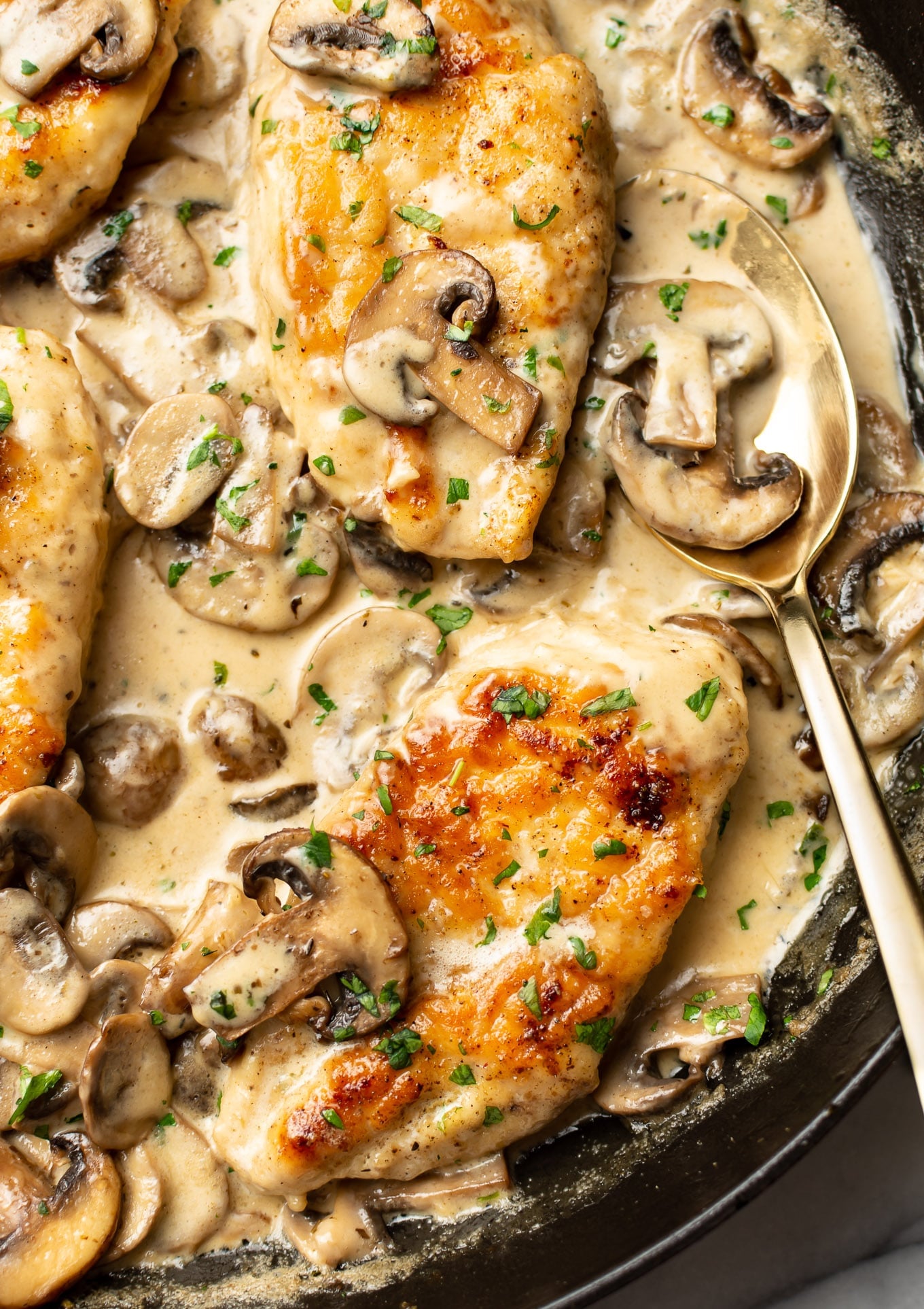 Creamy Chicken and Mushroom