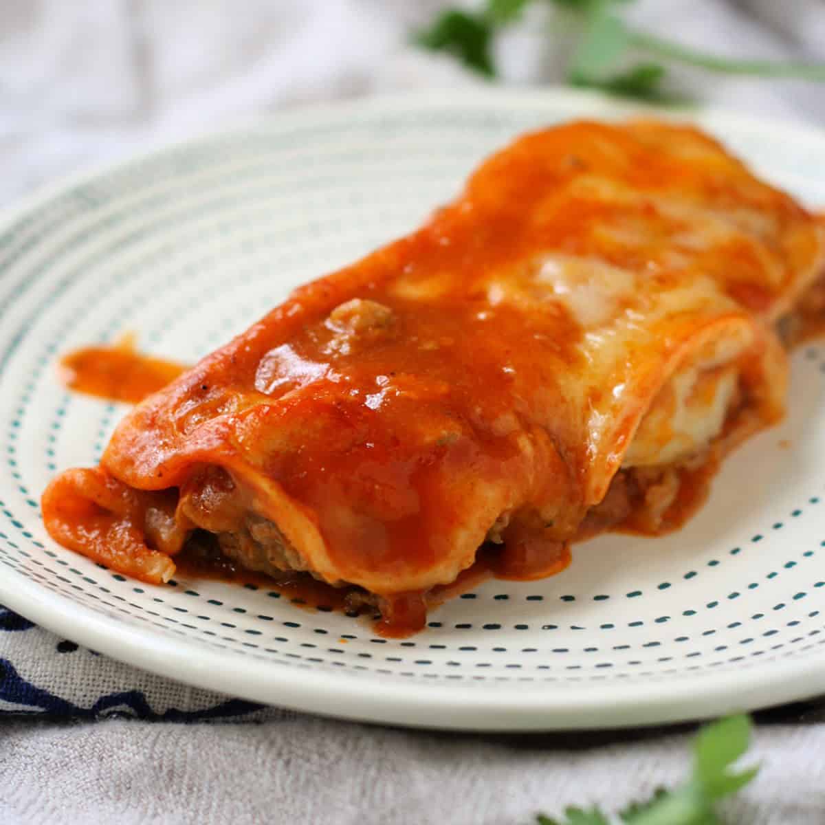 Spicy Beef Enchilada Filling