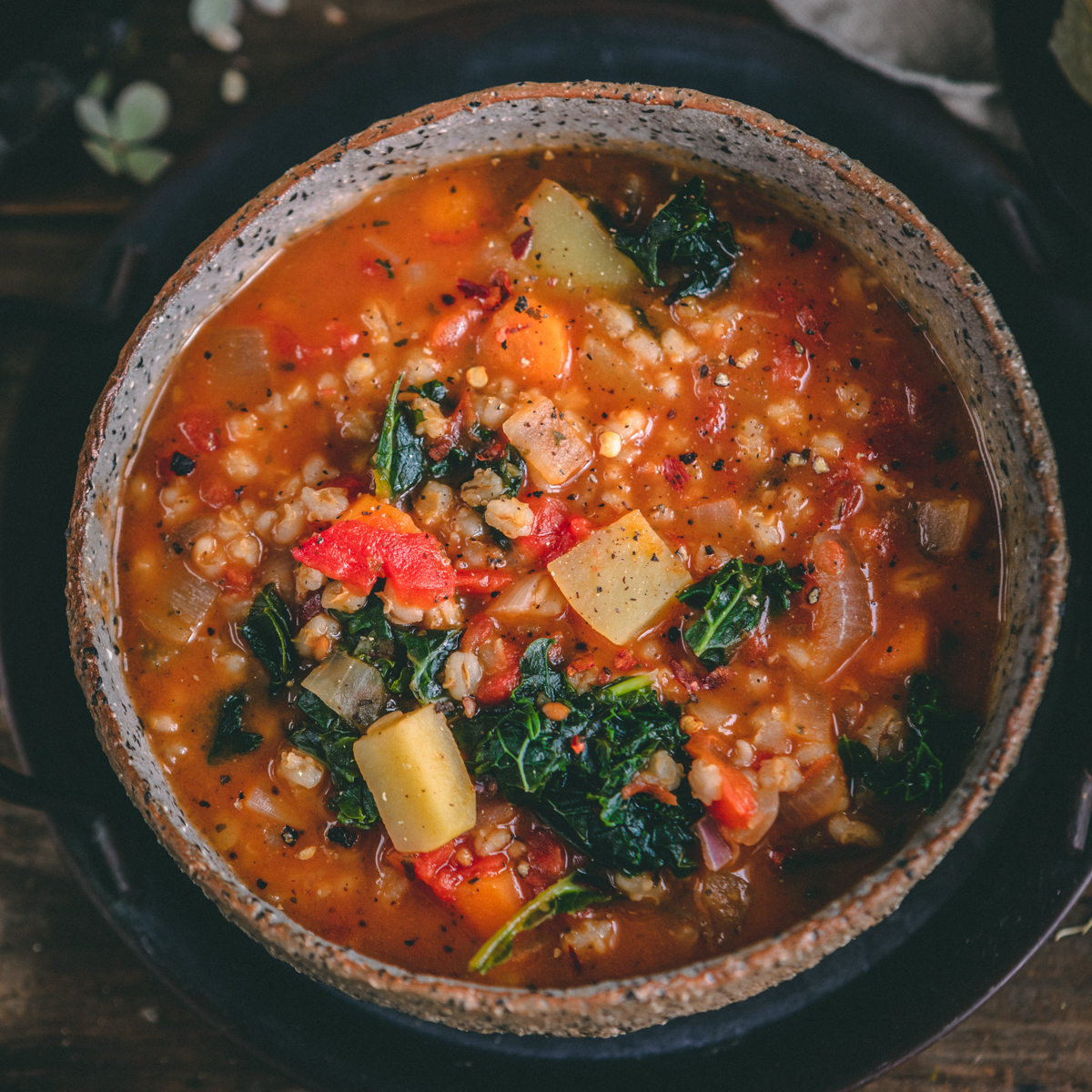Vegetable Barley Minestrone