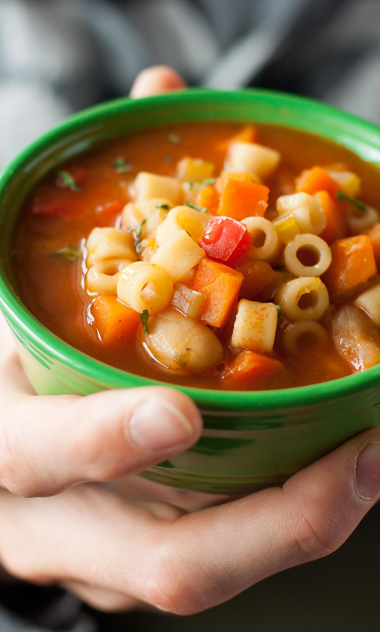 Minestrone Vegetable Soup