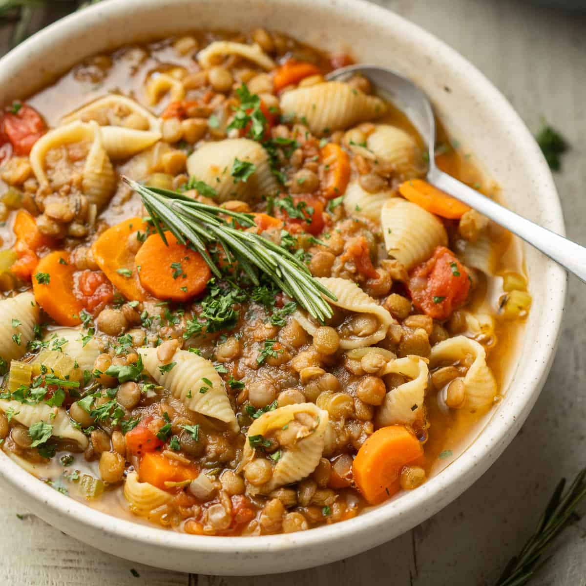 Hearty Lentil and Vegetable