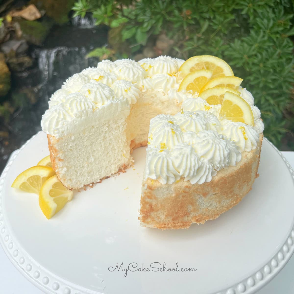 Lemon Zest Angel Food
