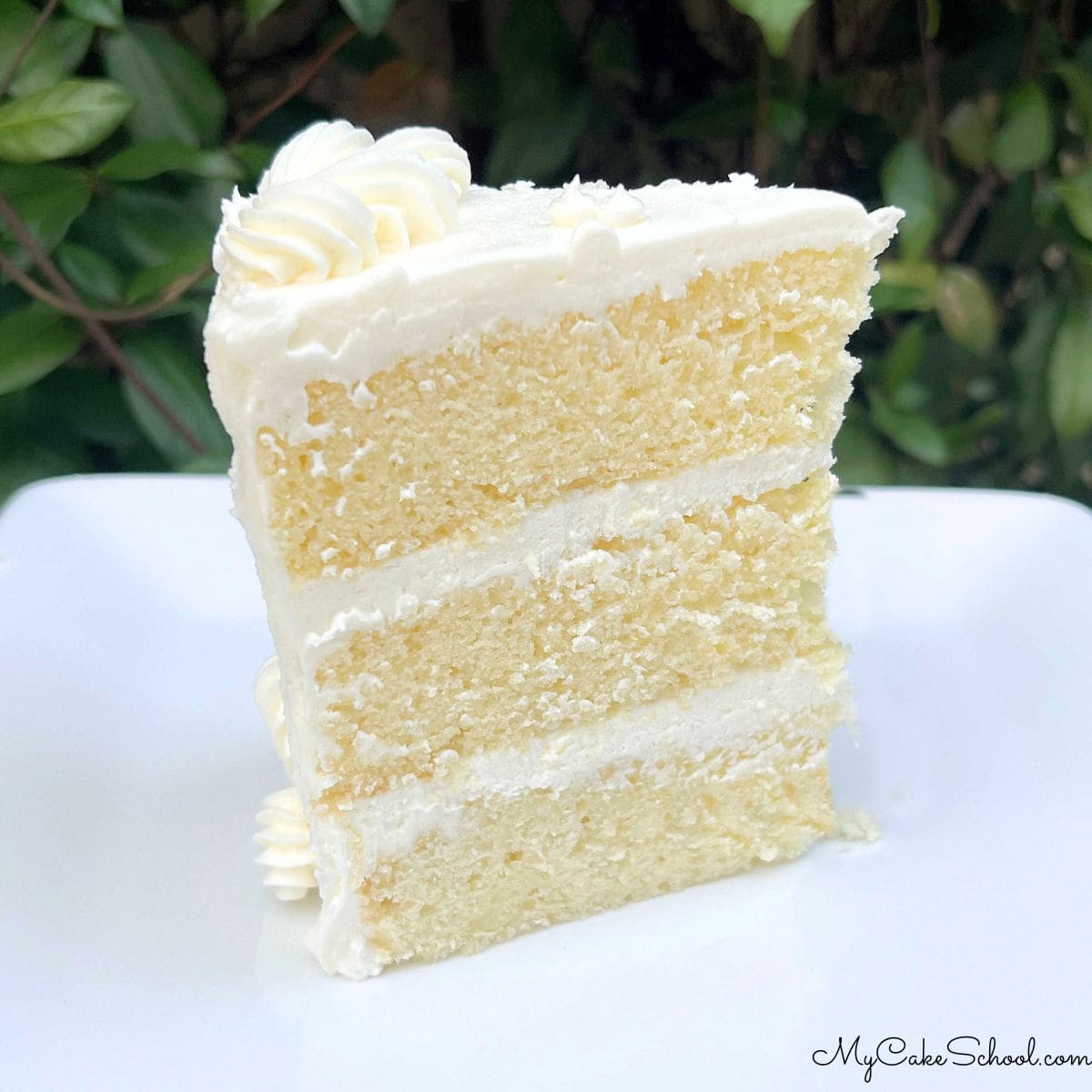 Champagne Velvet Cake