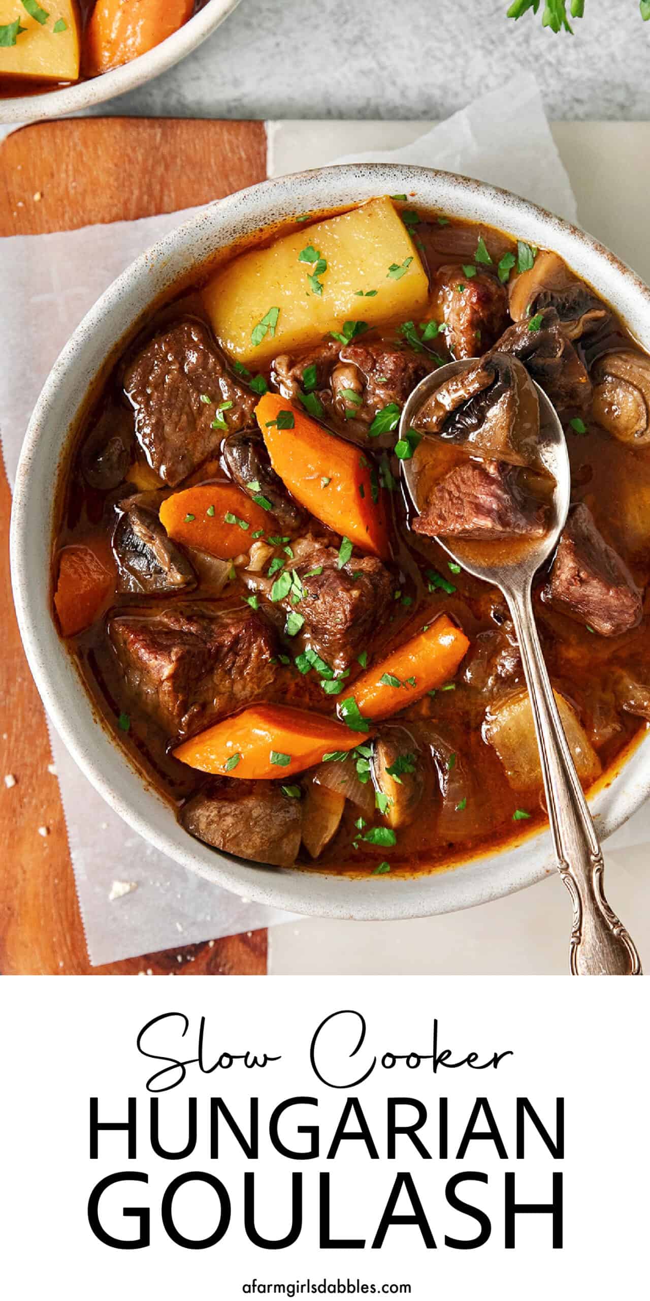 Hungarian Goulash Soup