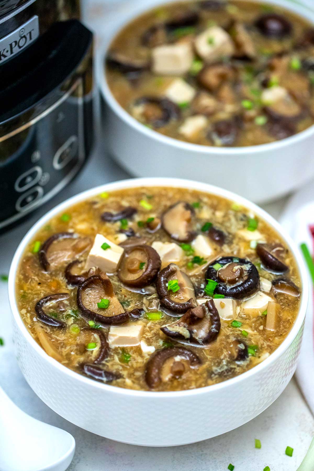 Asian Hot and Sour Soup