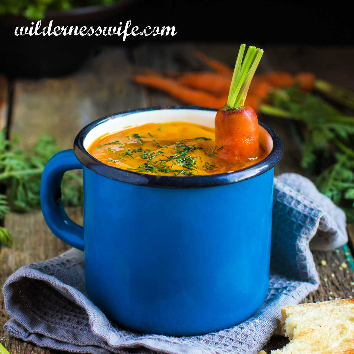 Curried Carrot Soup