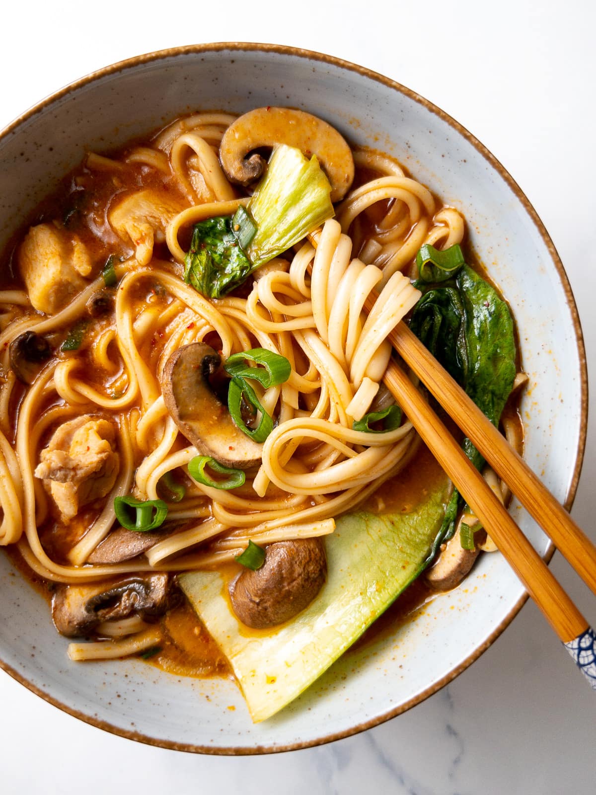 Japanese Chicken Udon