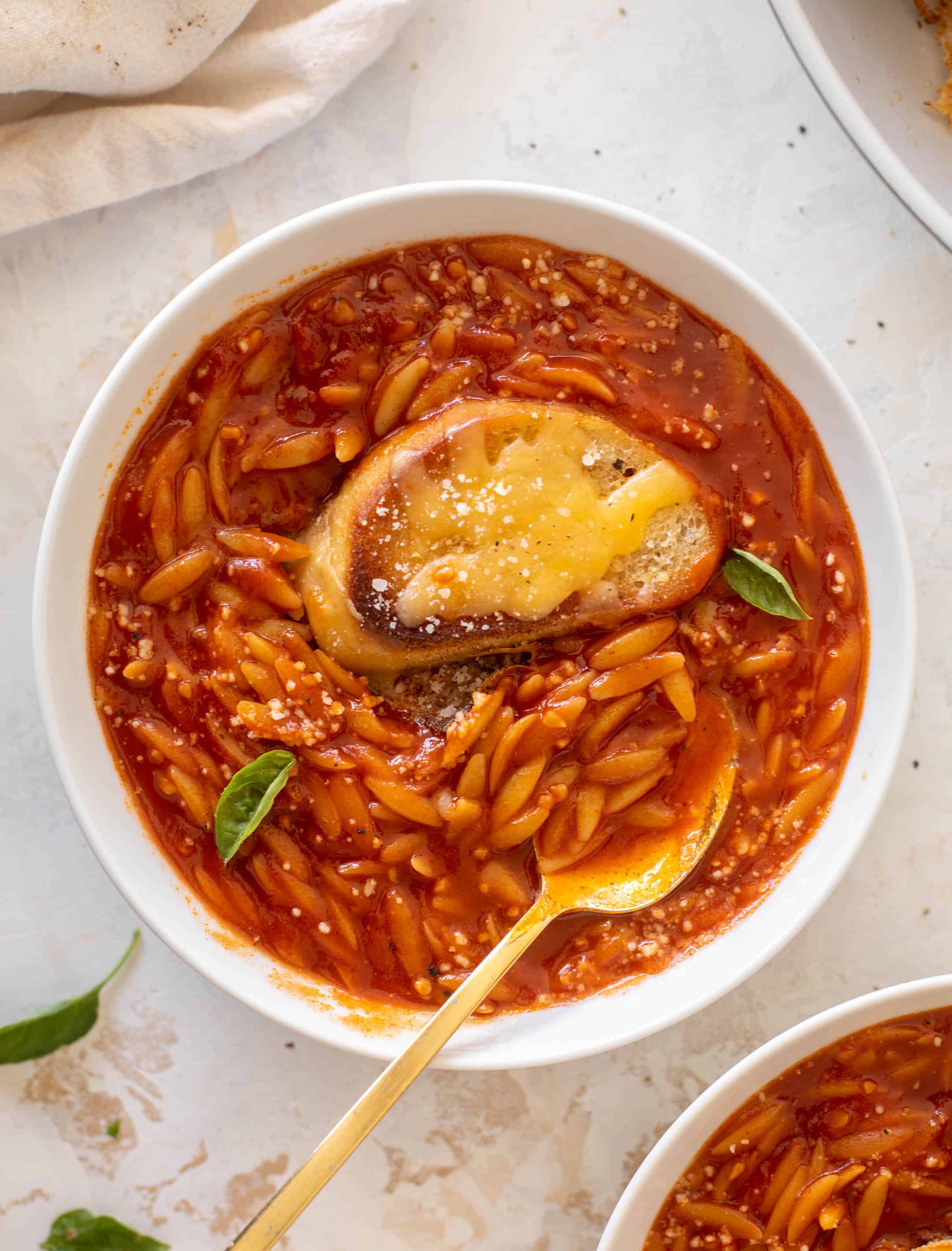 Tomato Basil Orzo Soup Pasta