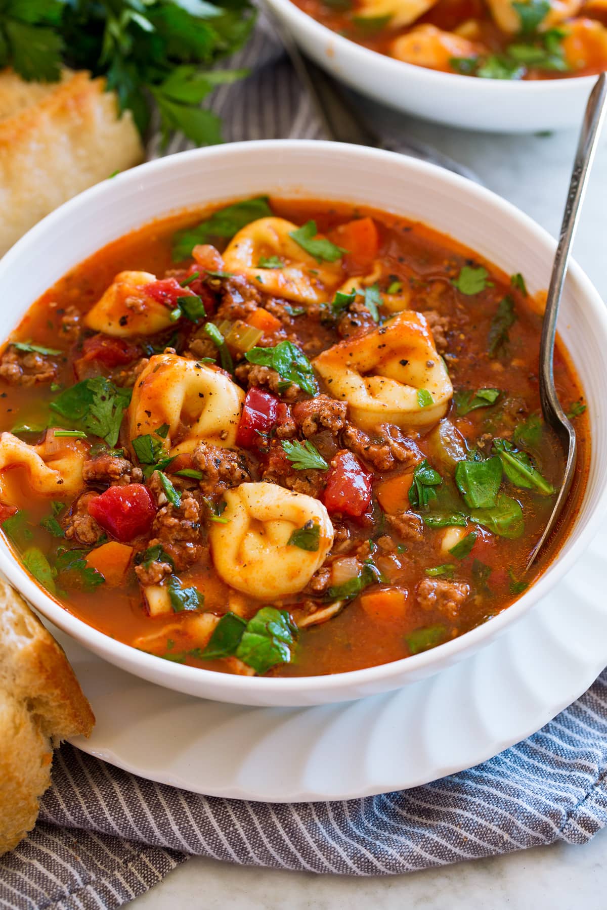 Tortellini Beef Soup With Vegetables