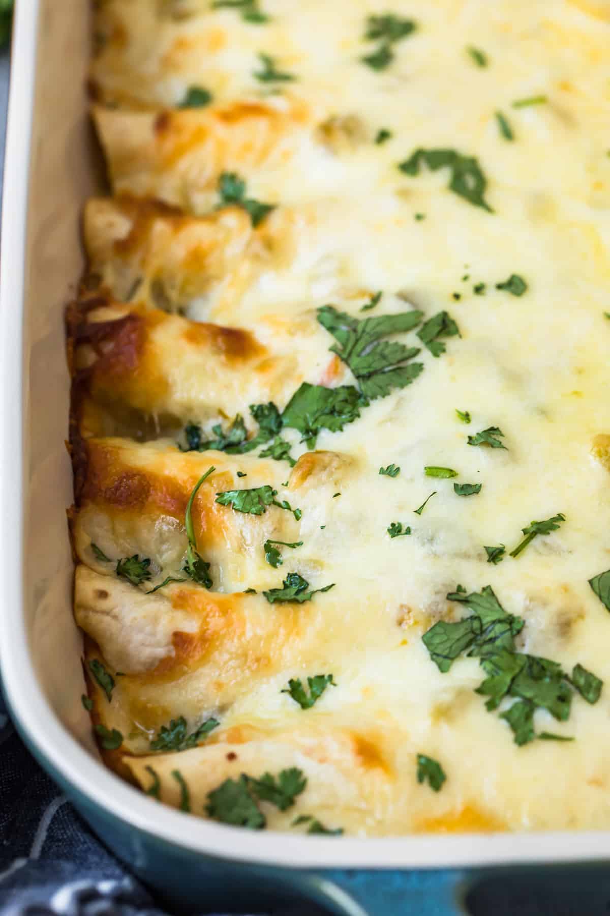 Creamy Chicken Enchiladas