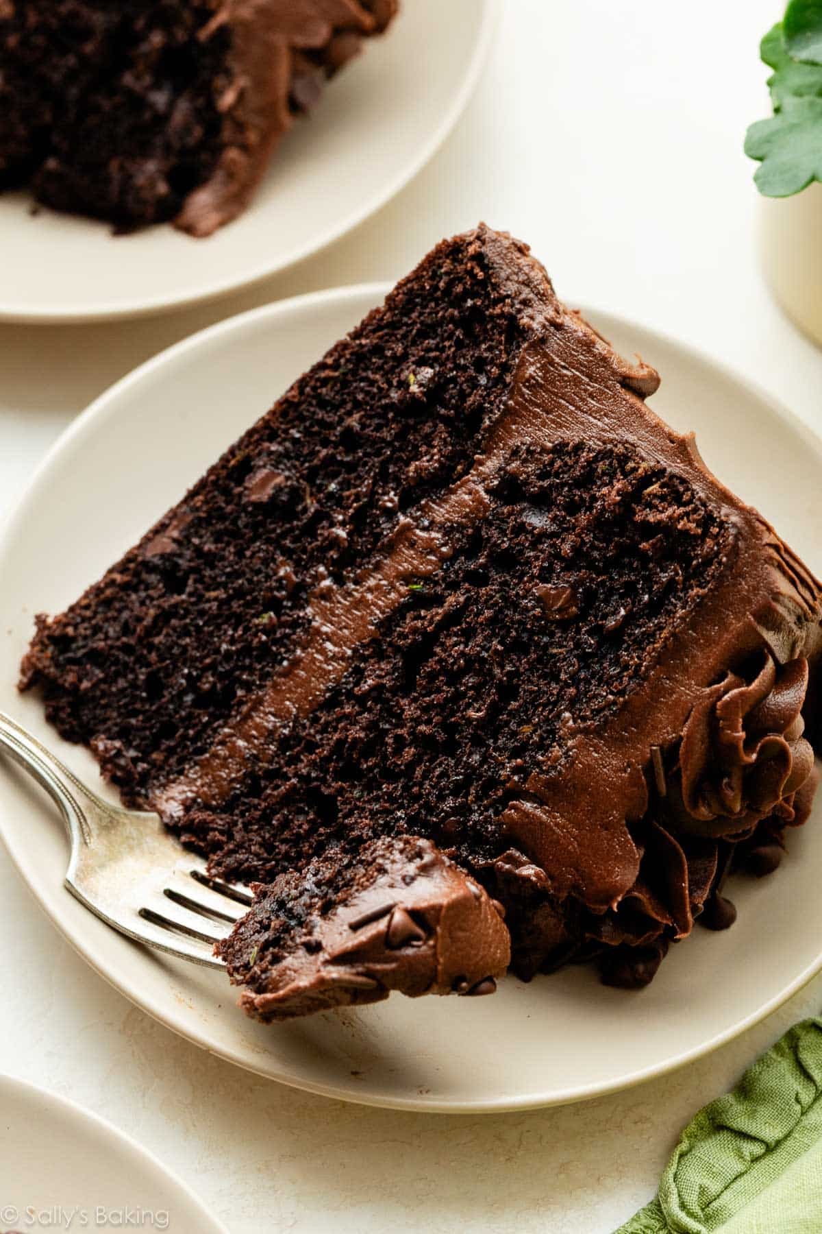 Chocolate Zucchini Cake